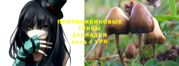 марки lsd Иннополис
