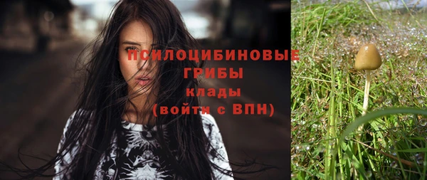 spice Инсар