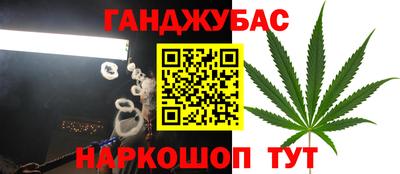 наркотики Кингисепп